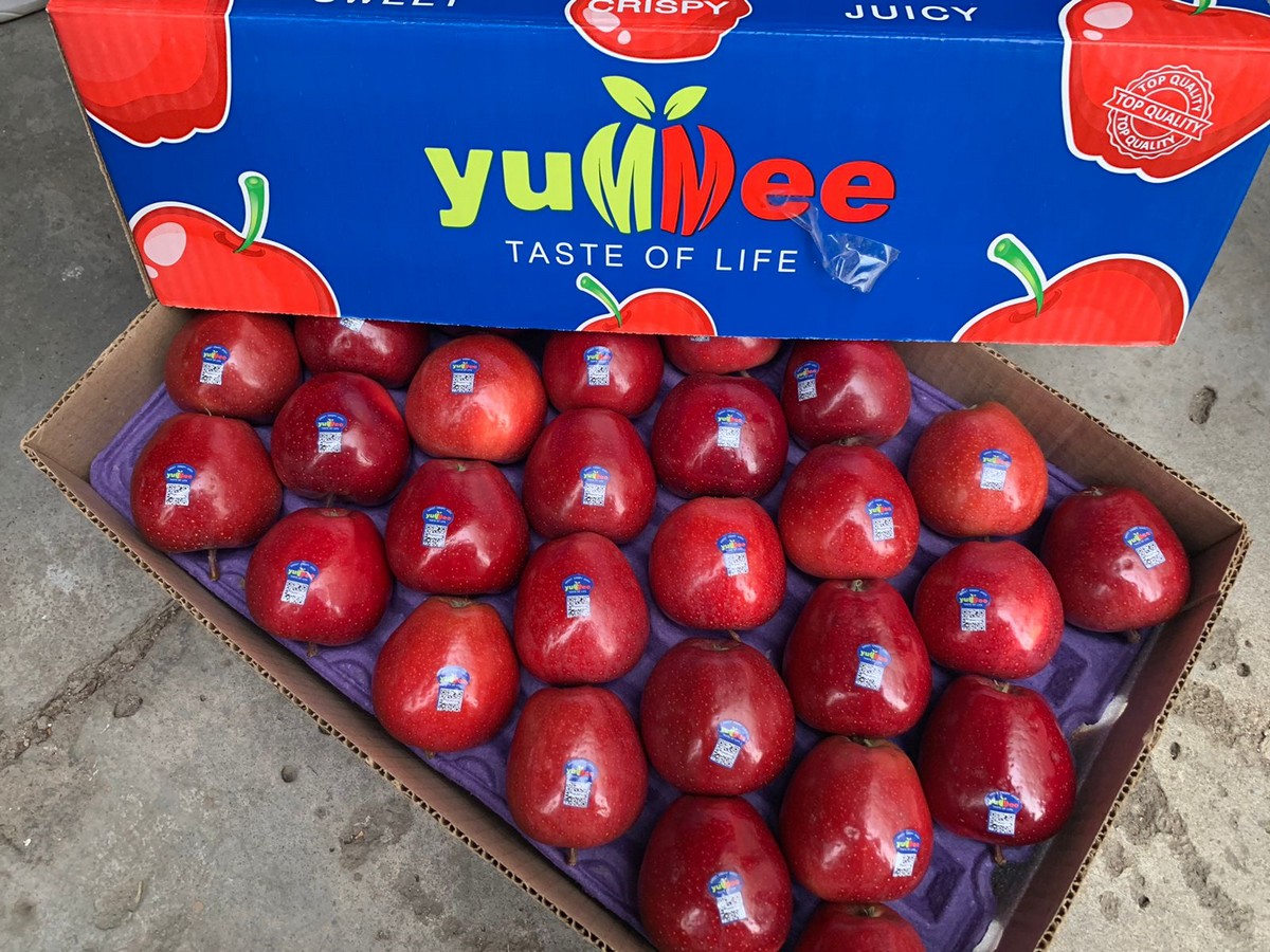 Envy apples expecting big harvest for holiday season - Fruit Growers News