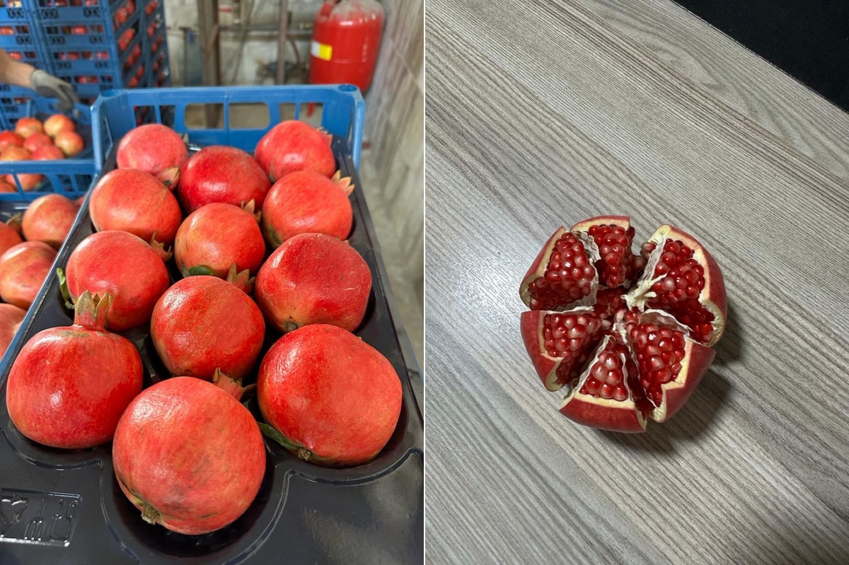 "Lower volumes from competition will increase interest in Turkish pomegranates" - Vimarsana News