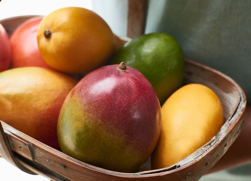 Mango board announces Mango Retailer of the Year - Vimarsana News