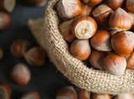 European countries prefer Turkish products in hazelnut, fig, and grape exports - Vimarsana News