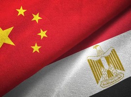 Egypt signs MoU with China to increase mango exports - Vimarsana News