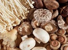 Global mushroom market size to reach USD114.40 billion in 2030 - Vimarsana News