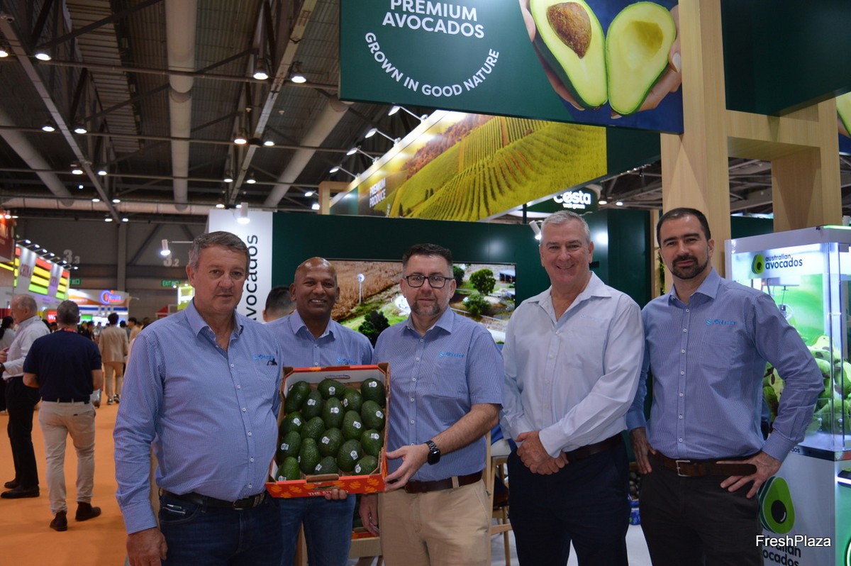 First large scale shipments of Australian avocados to India will likely be sent in January 2024 - Vimarsana News