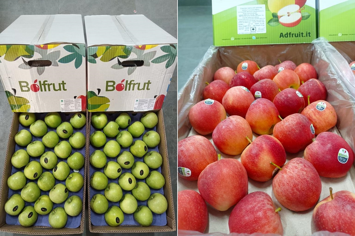 "Apples from regions such as Iran and Washington are poised to help bridge the supply gap" - Vimarsana News