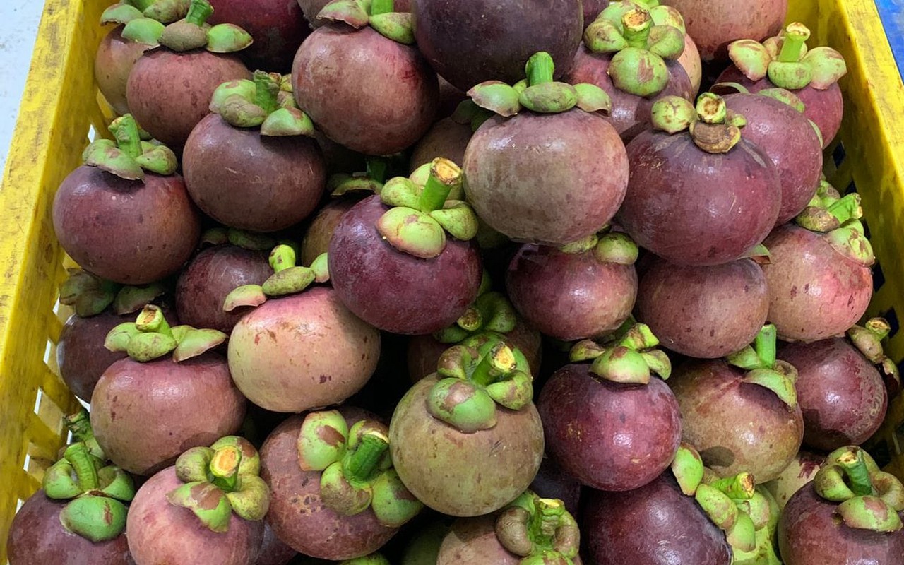 Mangosteen wallpaper Stock Photos, Royalty Free Mangosteen wallpaper Images  | Depositphotos