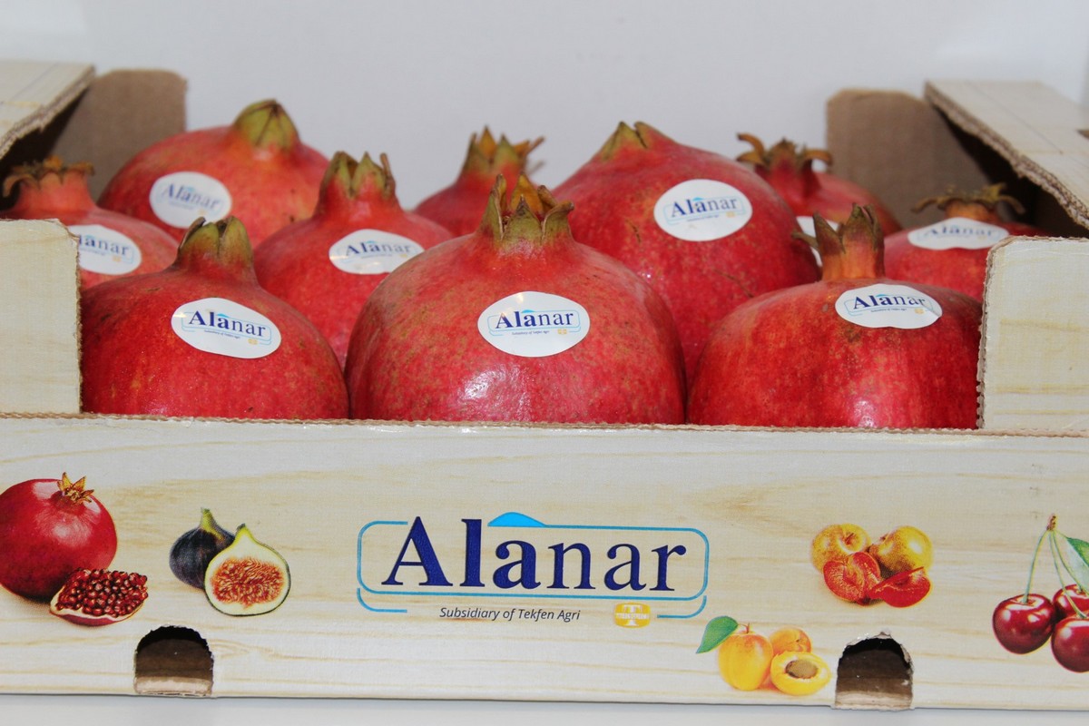 Alangoo Yalda anar pomegranate plates