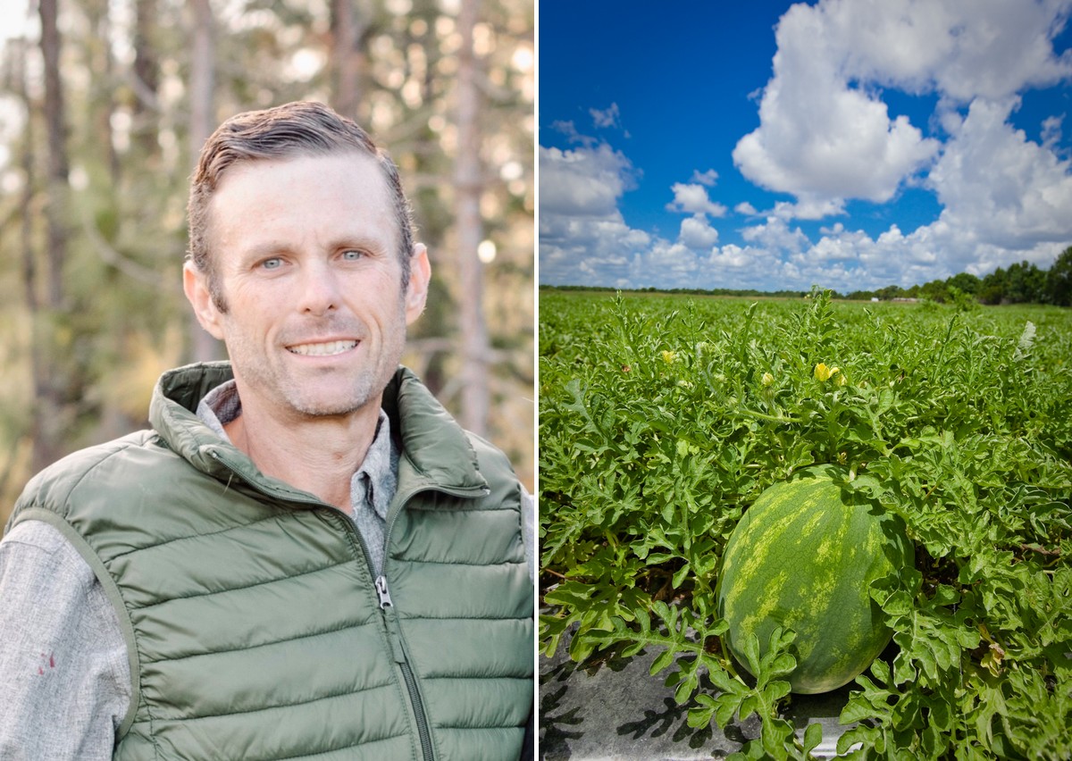 Lipman appoints new head of watermelon sales - Vimarsana News