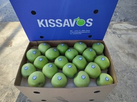 Due to violent weather changes, Greek growers lost about 60% of their apple harvest - Vimarsana News