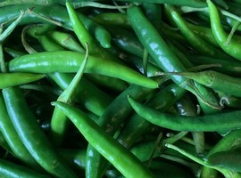 Kenya resumes chili export to EU after a two month ban - Vimarsana News