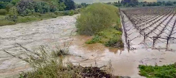 Berg River authority calls for state of emergency - Vimarsana News