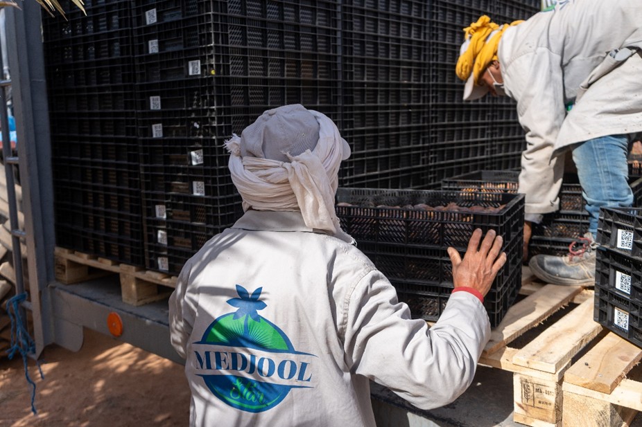 "We are witnessing a significant uptick in Mejhoul date production" - Vimarsana News
