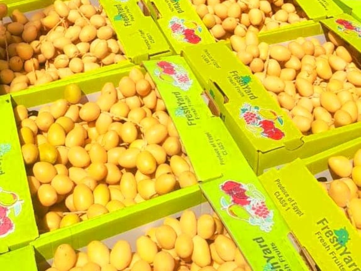 "We are at the peak of Barhi dates harvest" - Vimarsana News
