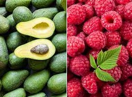 Mexican growers see increased exports of berries and avocados - Vimarsana News