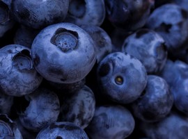 BayWa Global Produce and Nufri S.A.T. establish joint venture to expand blueberry business - Vimarsana News