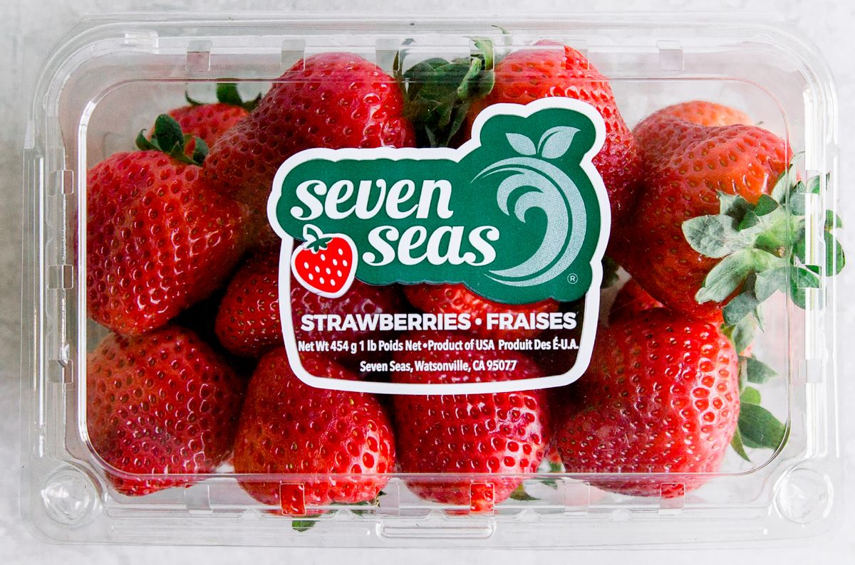 From developing a Mexican strawberry program to an expanded import business - Vimarsana News