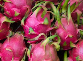 China grows more dragon fruit, which leads to reduced imports from Vietnam - Vimarsana News