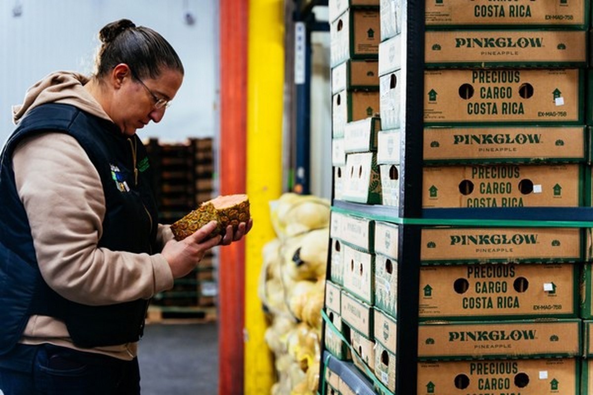 Supply of pineapple from Costa Rica back up - Vimarsana News