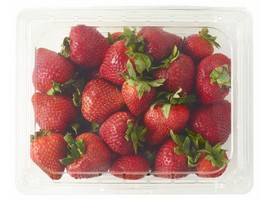 Sunshine Coast strawberry farm creates five jobs thanks to RED Grant expansion - Vimarsana News