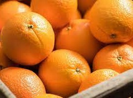 Citrus trade protocol with China bears fruit for growers from Zimbabwe - Vimarsana News