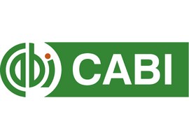 CABI offers training to help smallholder mango farmers in Kenya produce quality export goods - Vimarsana News