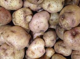 North Dakota and Minnesota farmers faced with average potato crop - Vimarsana News