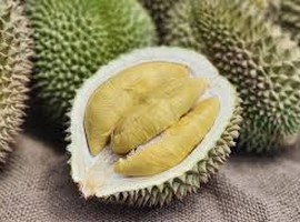 China looks to Malaysia to satisfy durian demand - Vimarsana News