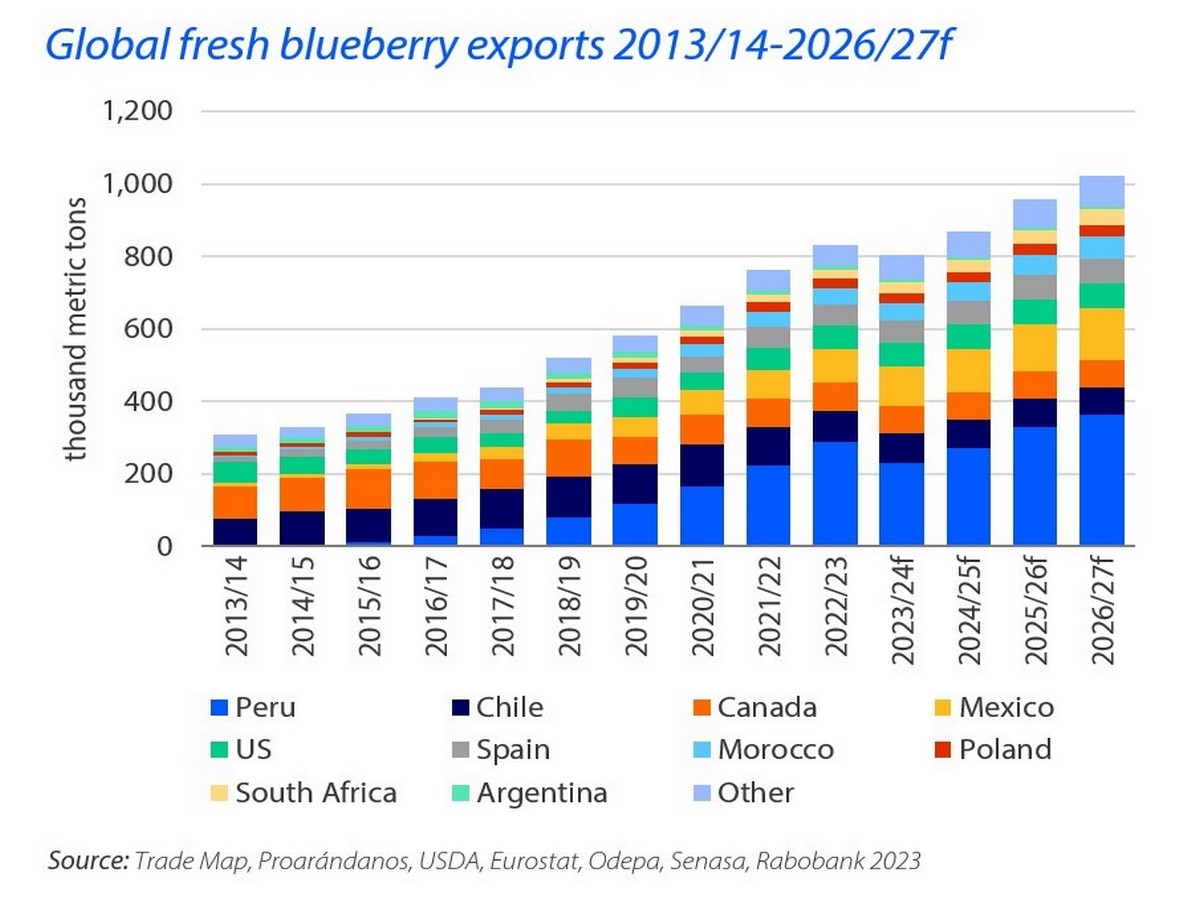 Global blueberry industry set for growth in coming years - Vimarsana News
