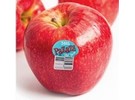 Strong Pazazz apple crop ready for release - Vimarsana News