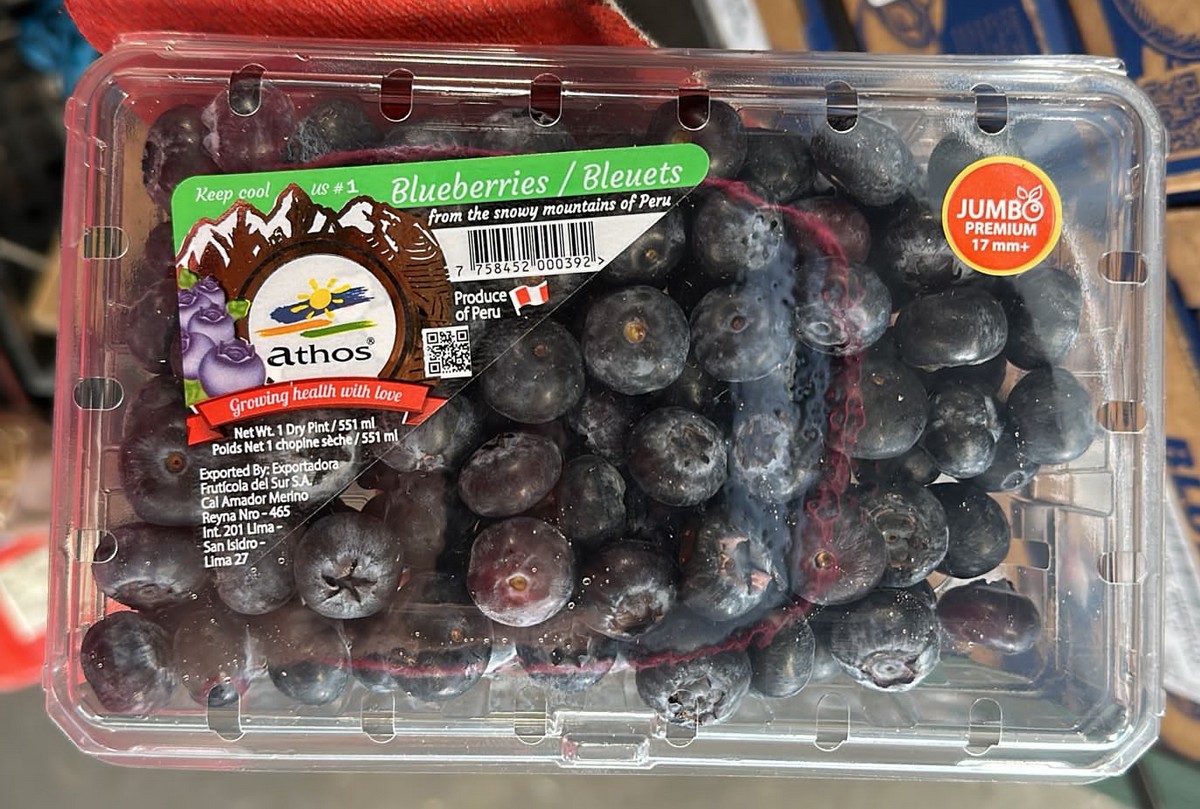 Peru Premium Snowy Mountains Blueberries (Size Jumbo 17mm+)