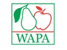 Both apple and pear volumes revised downwards - Vimarsana News