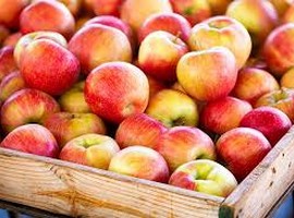 HPMC procures more than 32,000 tons of apples under Market Intervention Scheme 2023 - Vimarsana News