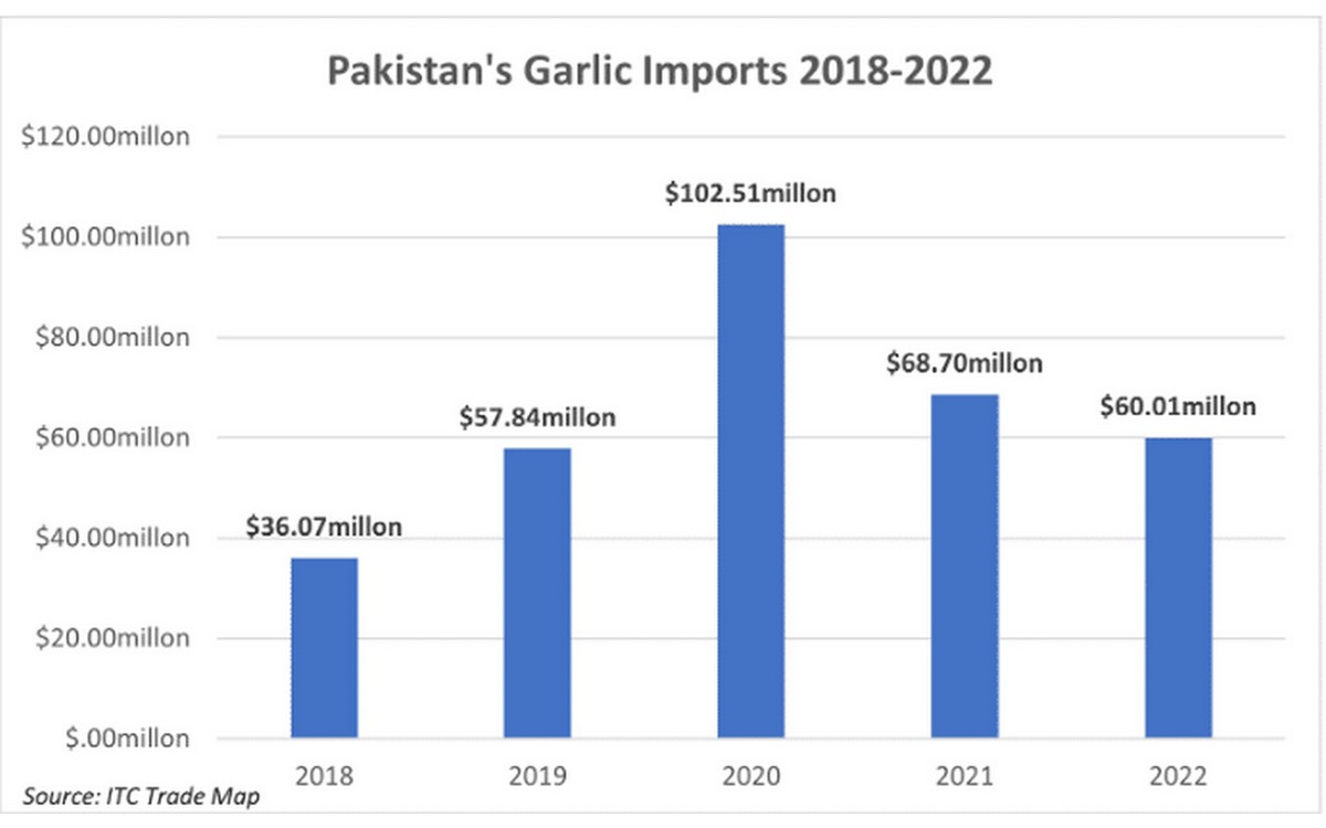 Pakistan alarmed as the 'G1 garlic bubble' has burst - Vimarsana News
