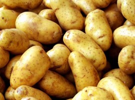 NEPG potato prices stabilise despite quality concerns - Vimarsana News