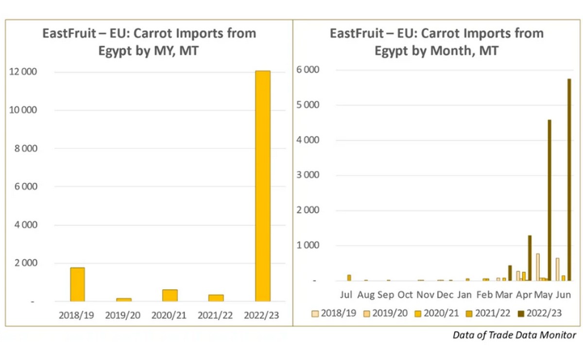 Egypt emerges as third largest carrot supplier to EU - Vimarsana News