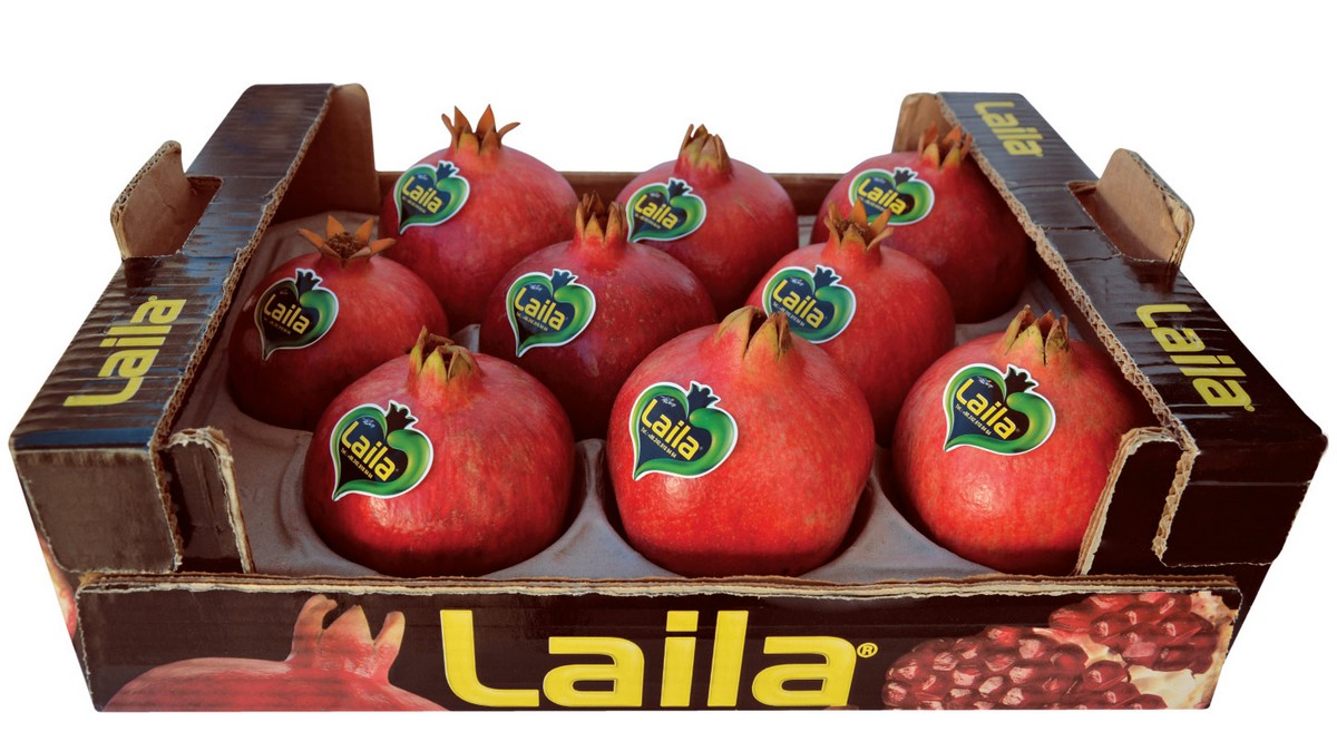 Harvest of Turkish pomegranates almost finished - Vimarsana News
