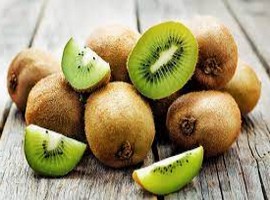 Tauranga post-harvest operation cuts green kiwifruit packing prices - Vimarsana News