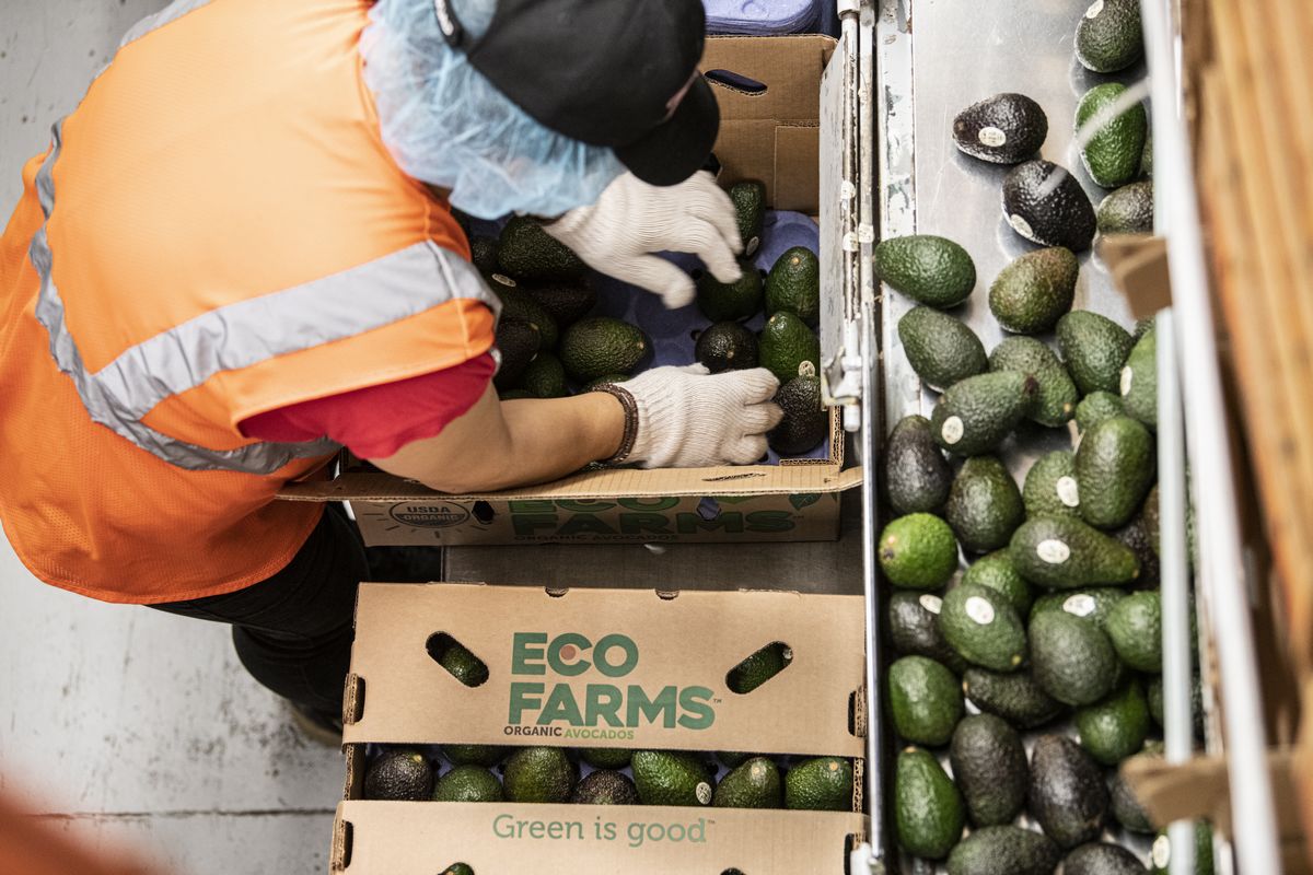 5 Ways to Stand Out in the Produce Aisle in Summer - West Pak Avocado Inc.