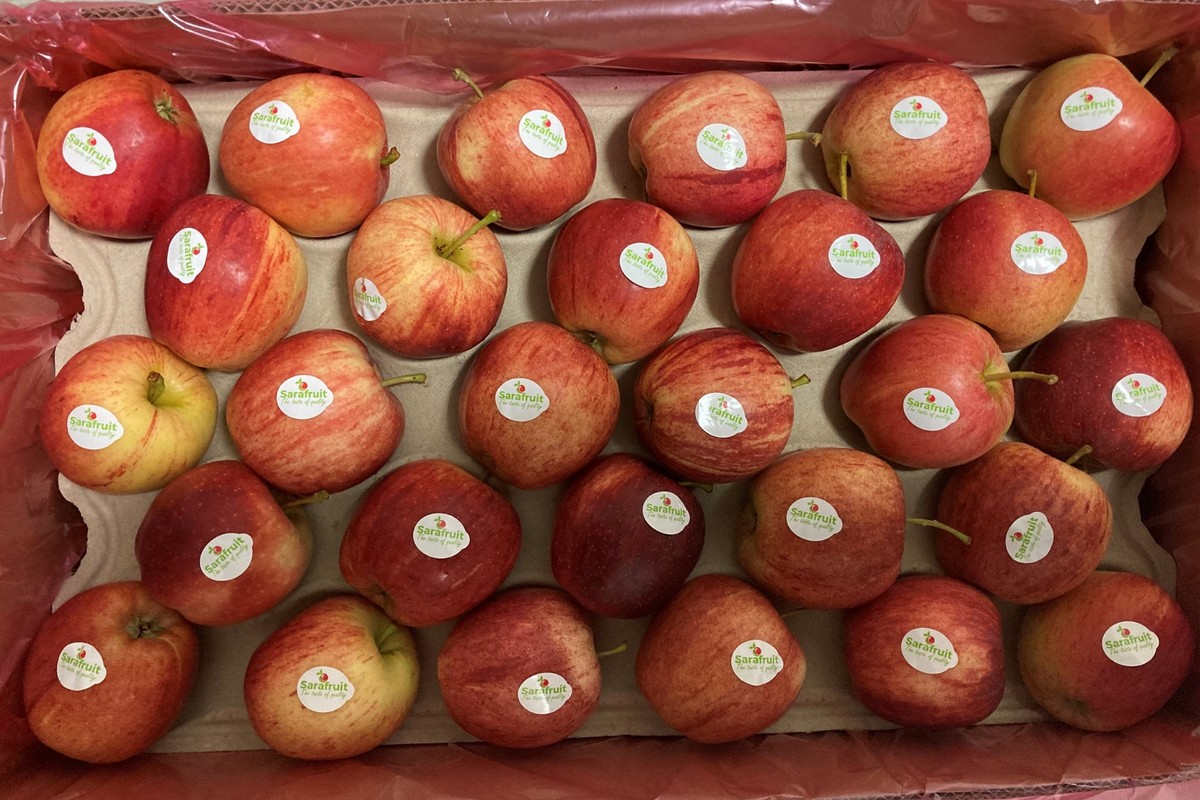 Consomac : Apple Store : Apple boude-t-elle Toulouse ?