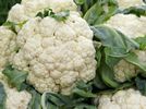 Tight cauliflower supply in Salinas until transition - Vimarsana News