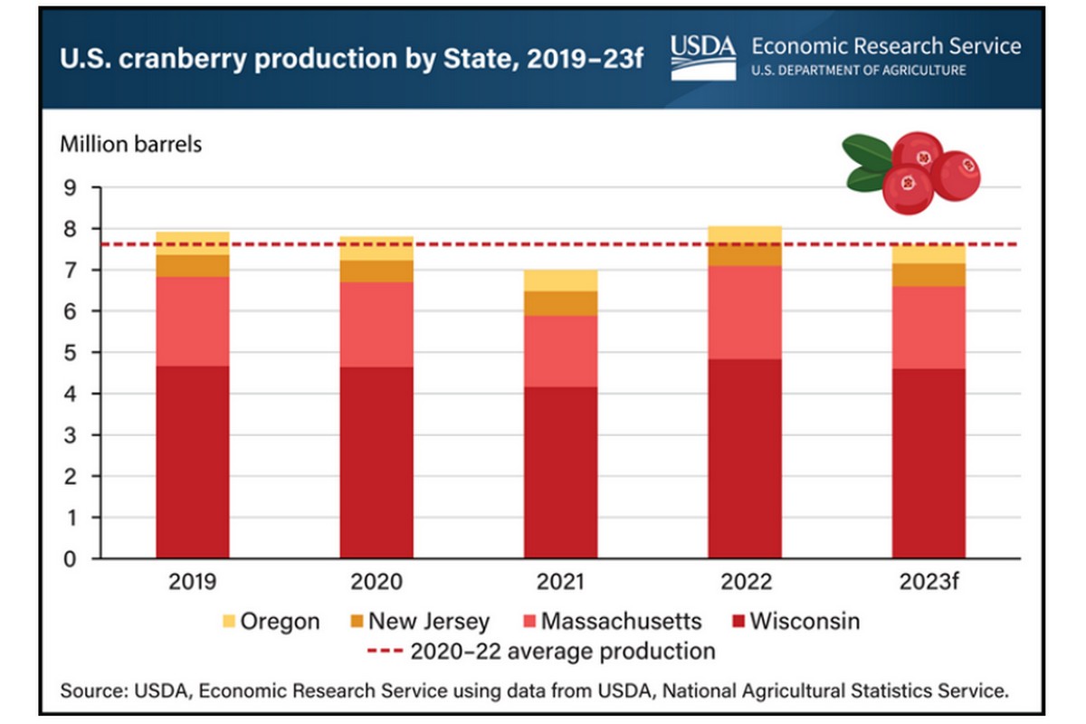 US cranberry production down 5 percent in 2023 forecast