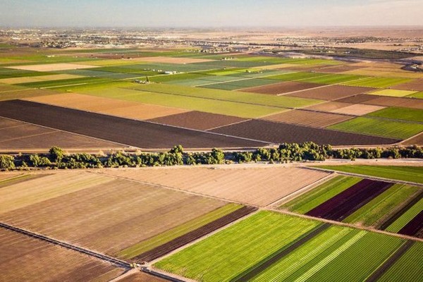 Study looks at future of water sustainability for Yuma farming - Vimarsana News