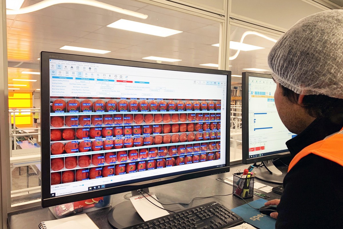 Food processors and packhouses improving efficiencies with new artificial intelligence empowered solutions - Vimarsana News
