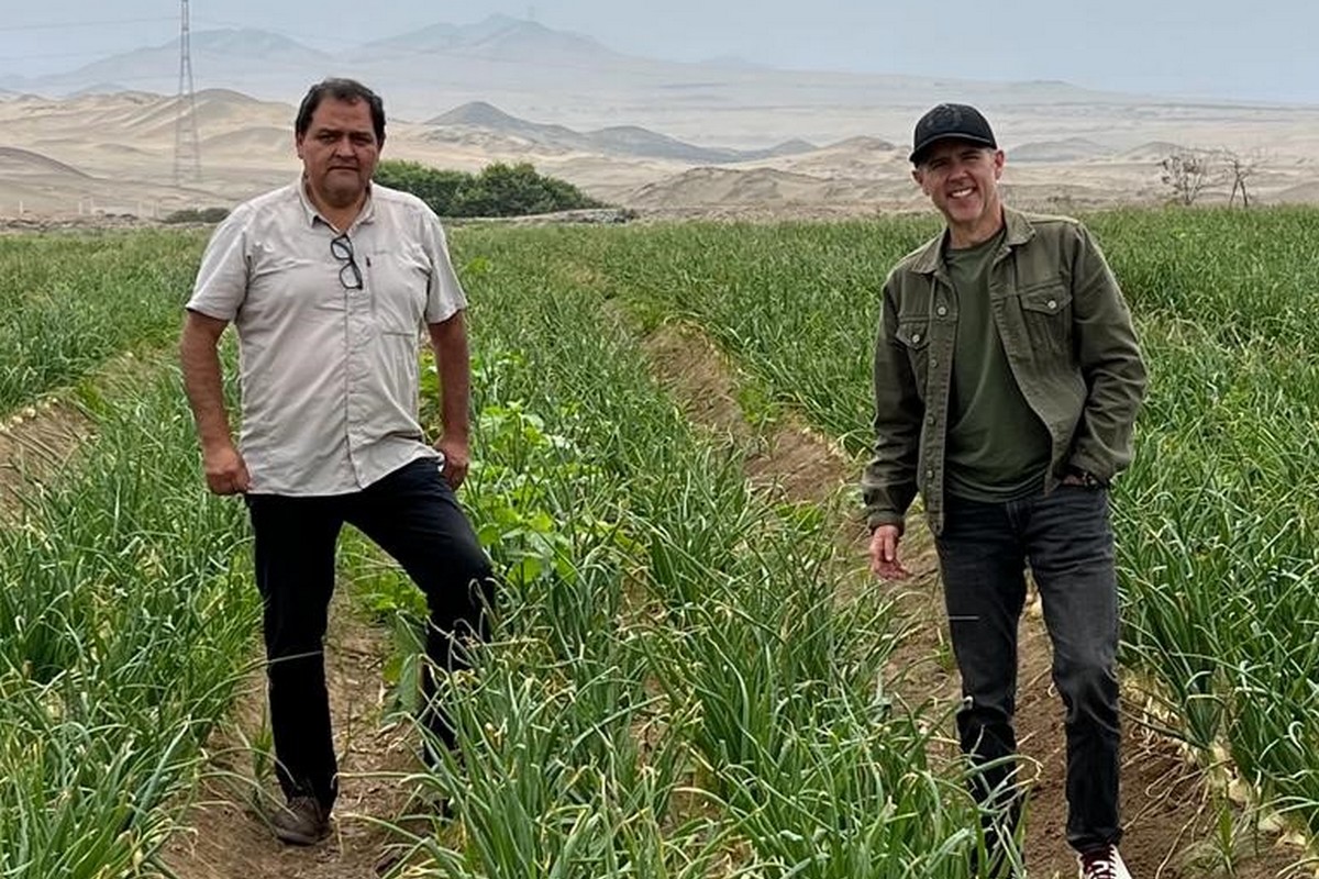 Transitioning from Peruvian to Mexican Mayan Sweets as sweet onion season shifts - Vimarsana News