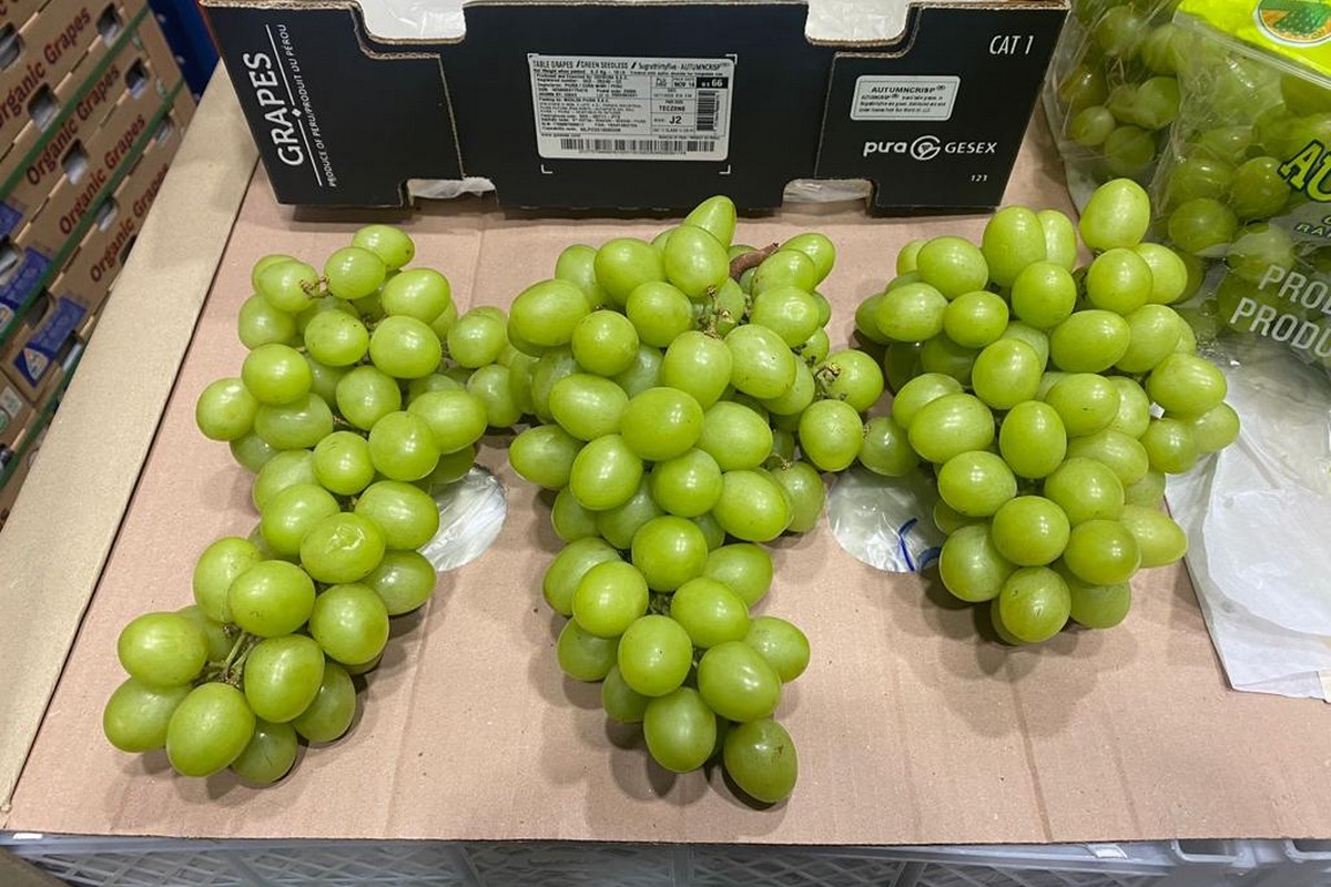 El Niño impacts timing/volume on grape and stone fruit imports - Vimarsana News
