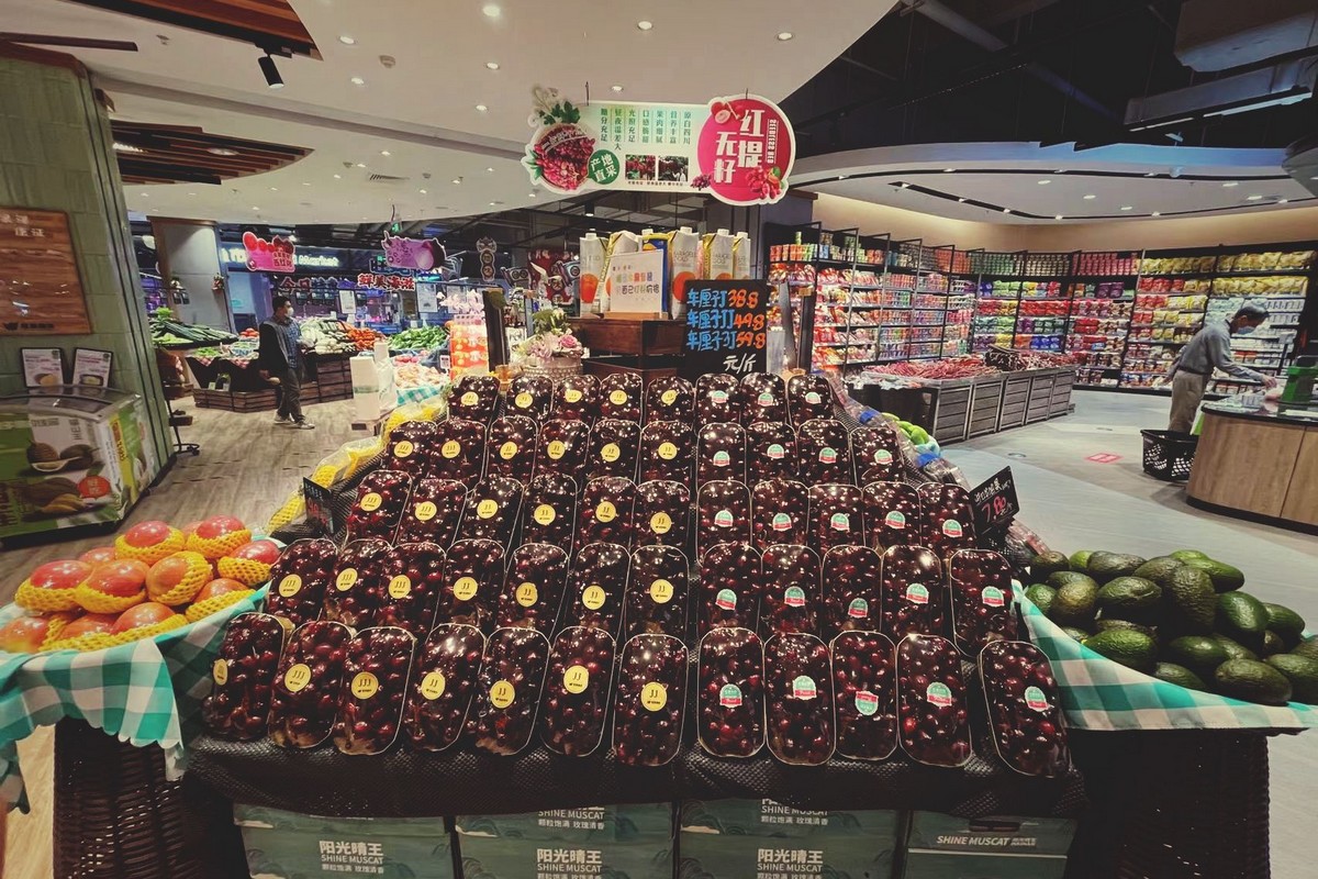 "Chilean cherry quality arriving in China this year is higher than in previous years" - Vimarsana News