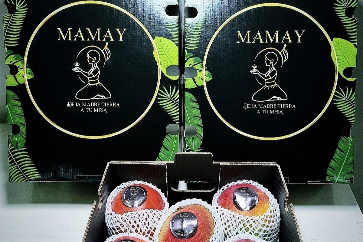 "Markets are paying six to ten times more than last season for mangoes" - Vimarsana News