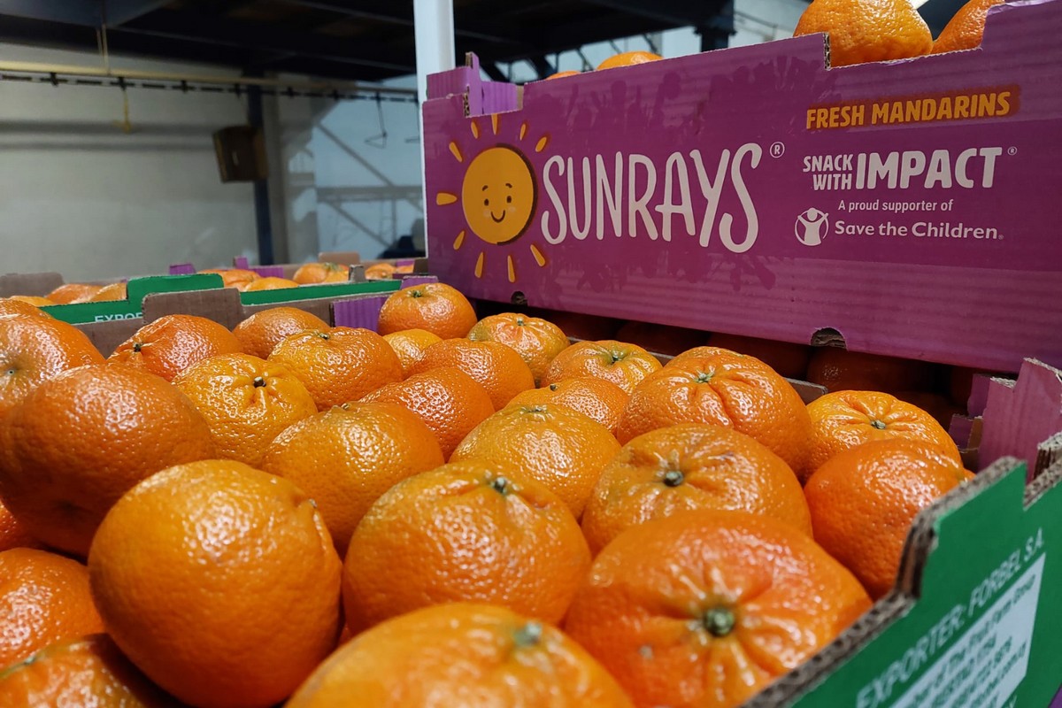 Certified Sustainably Grown SUNRAYS mandarins shipping to U.S. summer 2024 - Vimarsana News
