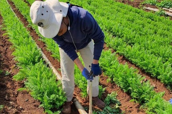 ReGrow Israel emergency fund launched to rebuild war-destroyed agricultural communities - Vimarsana News