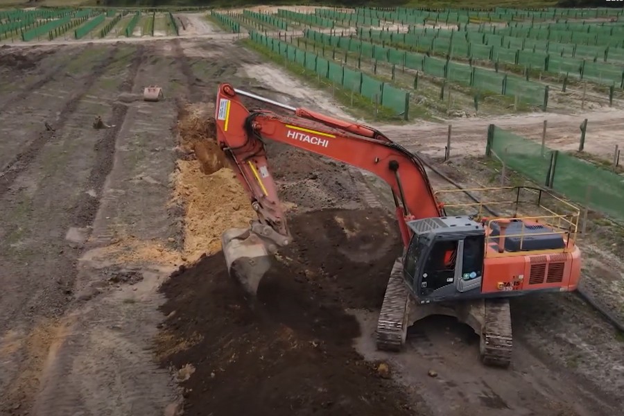 Northland iwi opened new avocado orchard this week - Vimarsana News