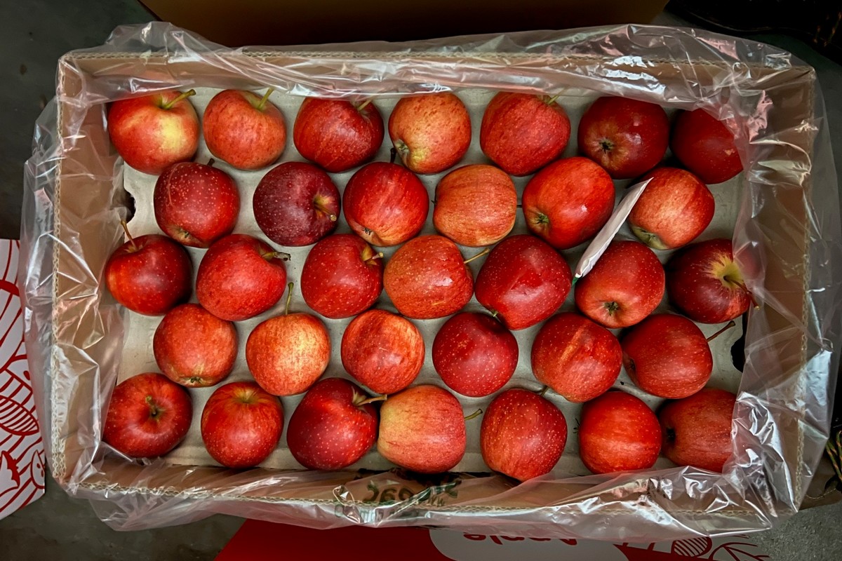 "Forse verliezen Poolse Red Jonaprince en Jonagold"